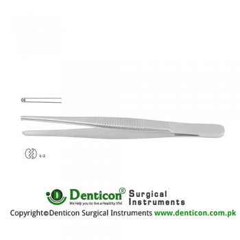 Standard Pattern Dissecting Forceps 1 x 2 Teeth Stainless Steel, 25 cm - 9 3/4"